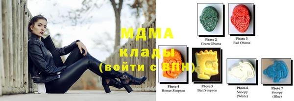 хмурый Арсеньев