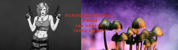 хмурый Арсеньев