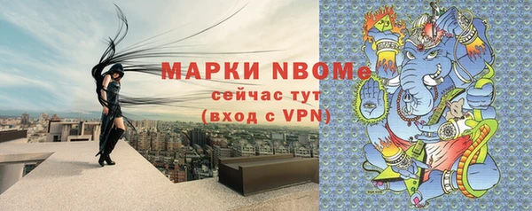 хмурый Арсеньев
