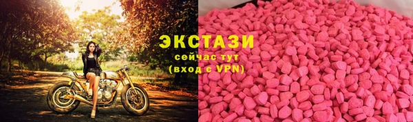 хмурый Арсеньев